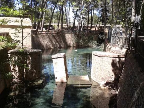 Parque Municipal de San Vicente