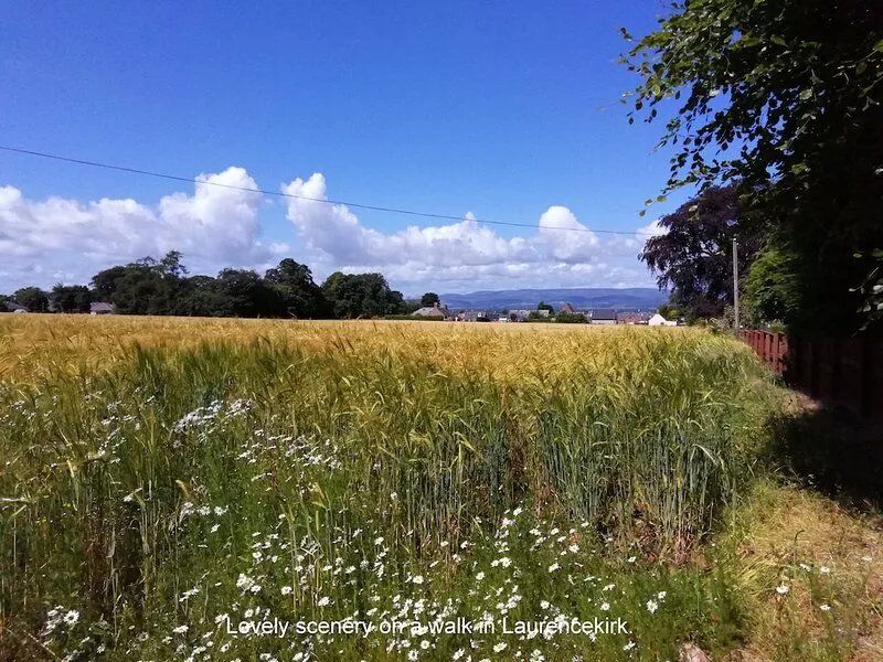 Cedar Holiday Cottage, an amazing place for a holiday in Aberdeenshire, Scotland