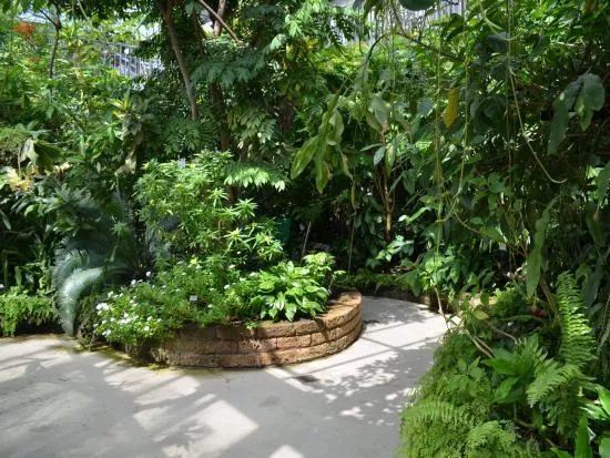 Botanischer Garten