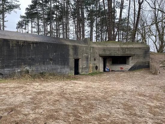Walvisbunker