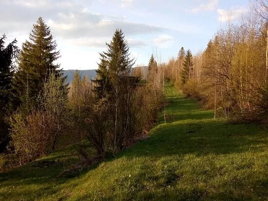 Krizova cesta Zuberec - Kycera