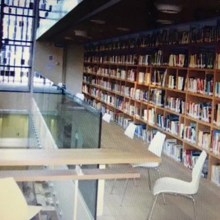Biblioteca d'Arte