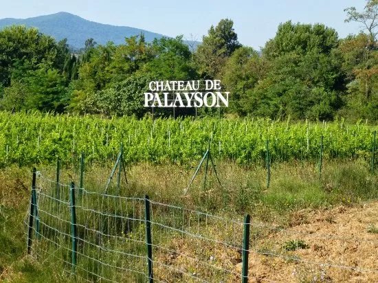 Chateau de Palayson