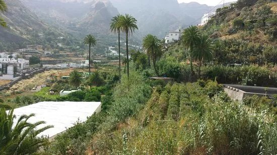 Finca Los Castanos