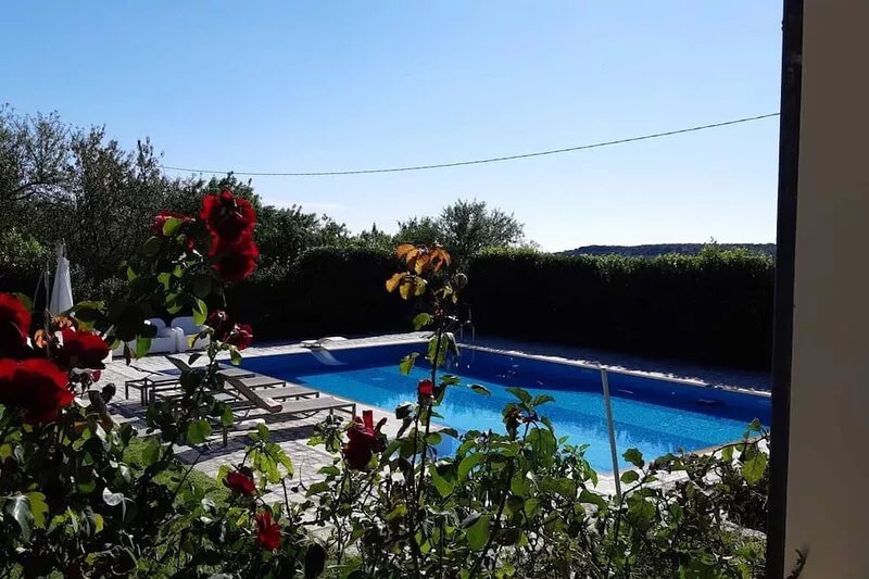 Villa Paradiso surrounded by green olive trees of olive and carob