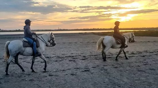 Promenade A Cheval La Fadaise