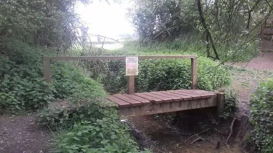 Finedon Cally Banks