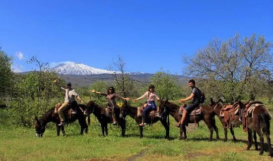 Etna Donkey Trekking