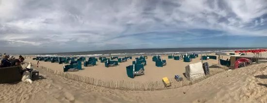 Honden strand Noordwijk