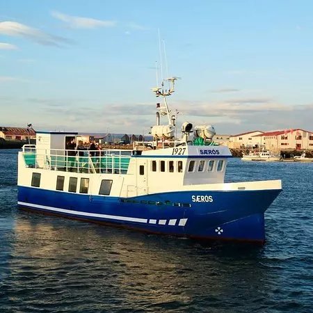 Vogasjoferoir / vogaseatours Whale watching