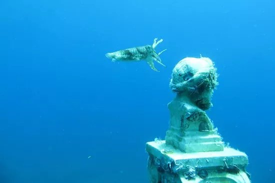 Kerveli Dive Center - Samos