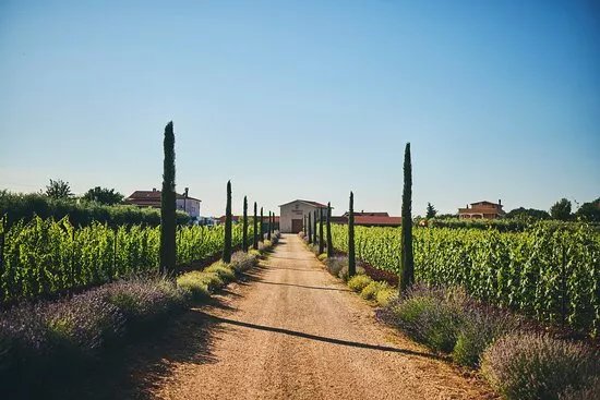 Winery Pervino