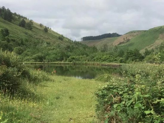 Glyncorrwg Ponds Visitor Centre