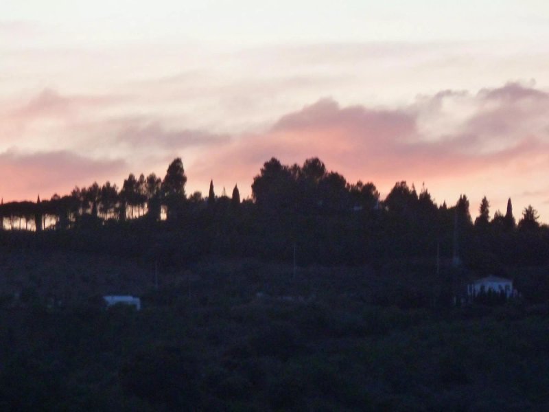 Finca Isabella