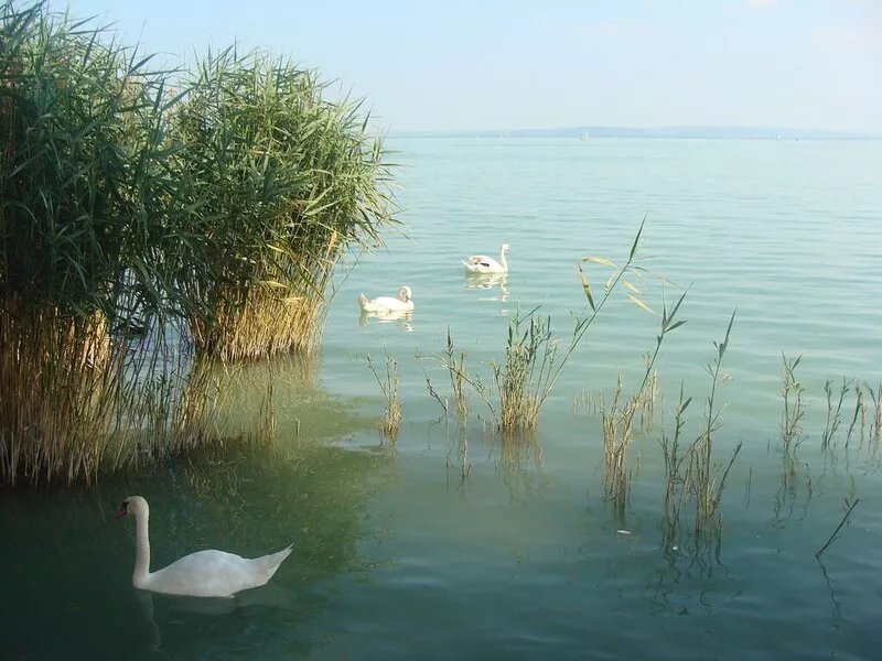 Charming holiday house 50 m from the lake