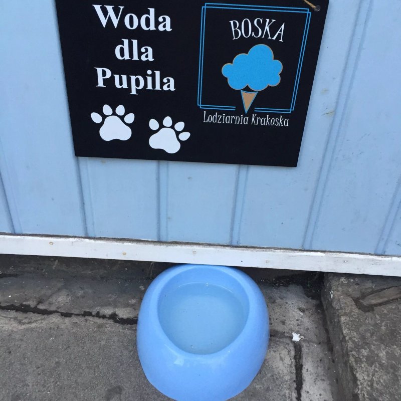 Boska Lodziarnia Krakoska