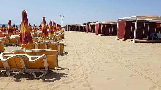 Le Palme