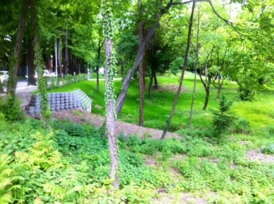 Parco Querini