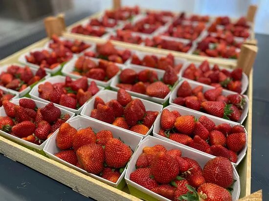 Rass Wildbeeren