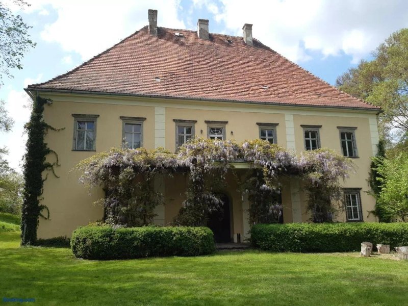 Palac Lasow
