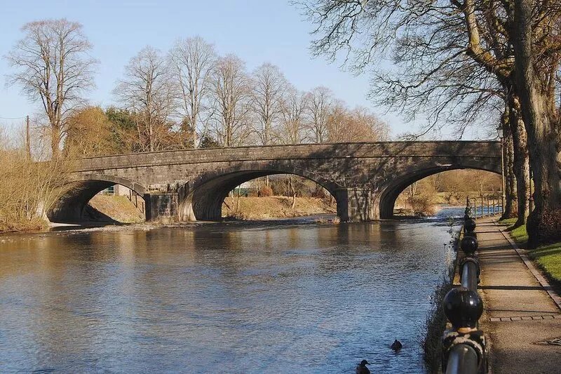 1 bedroom accommodation in Llanidloes