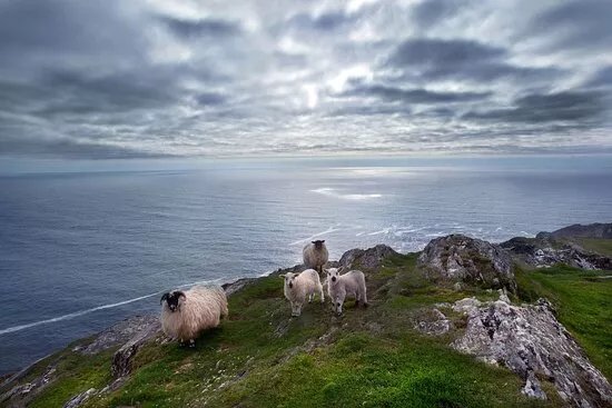 Guided Tours Of Ireland