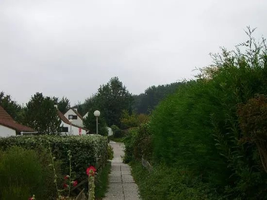 Duinendaele