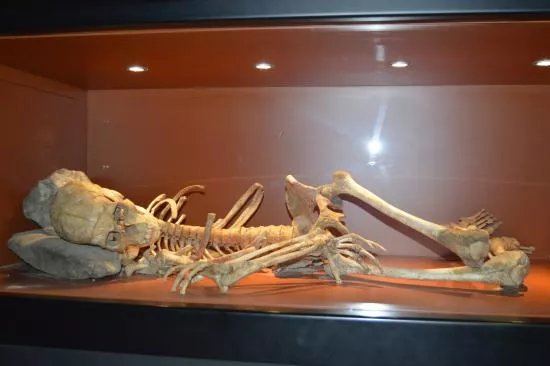 Museo de Nerja
