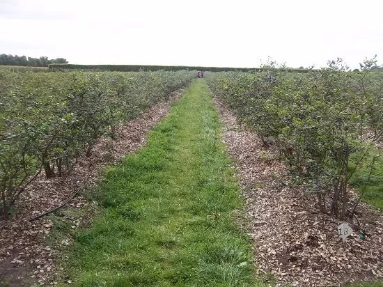 Greftenhoeve