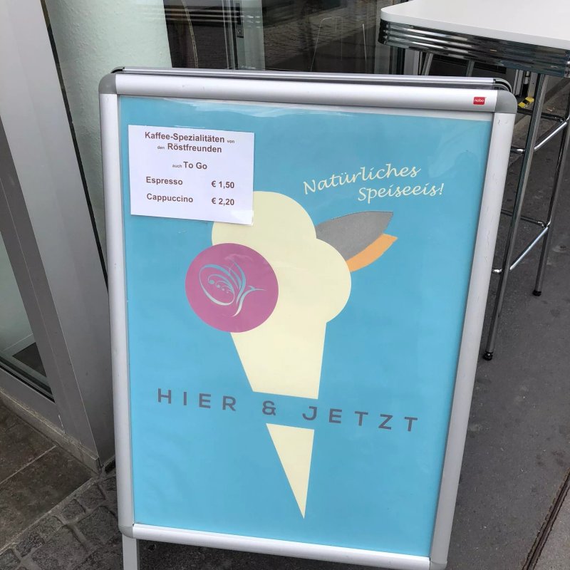 Eisbar Hier & Jetzt