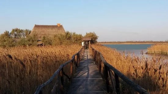 Beescover | Best Ecolocal Experience