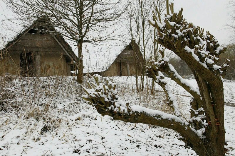 Prehistorische nederzetting Swifterkamp