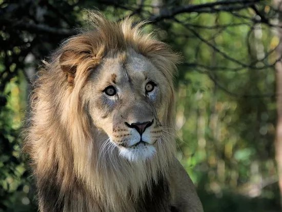 Zoo Leipzig