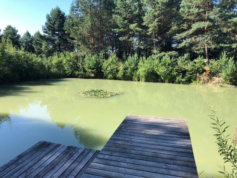 Karczma Maciejowka