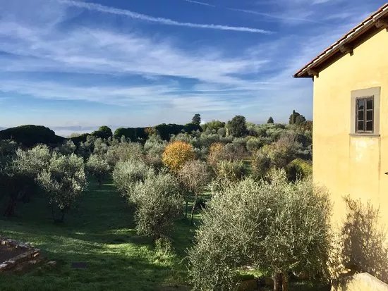 L'Olivo Italiano - Italian Language & Culture School