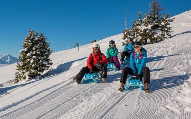 Sledging Niederhorn