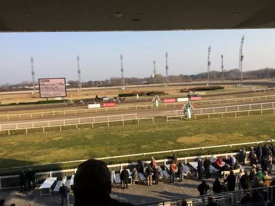 Magna Racino