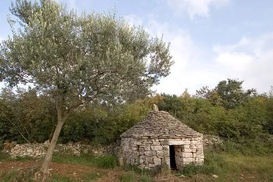 Church of St. Francis of Assisi​
