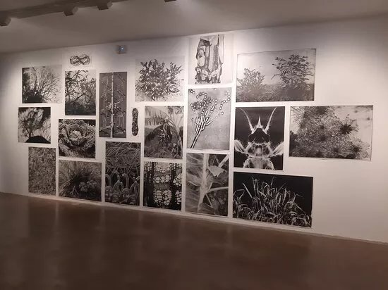 Centre D'art Maristany