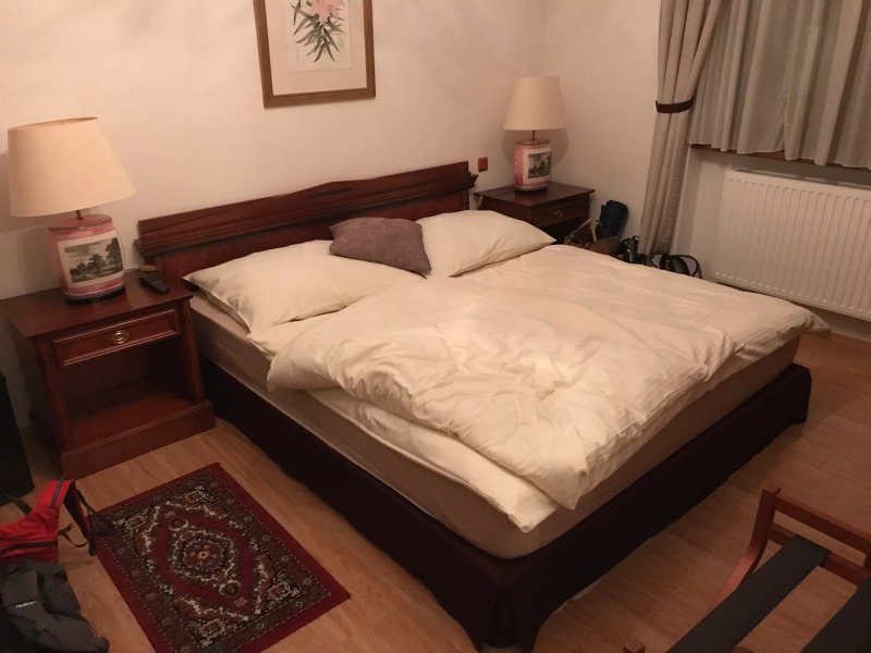 Hotel U Dobreho Lva