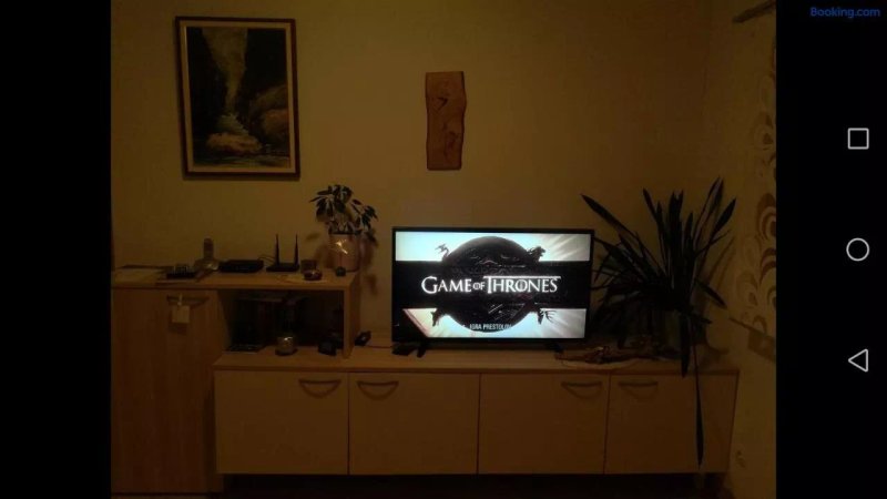Apartment Hisa Cviter