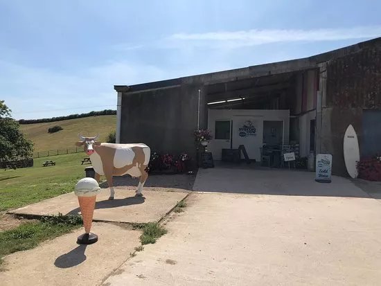 Surfing Cow Gelato