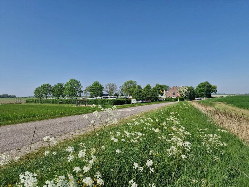 Minicamping Klaverwijk