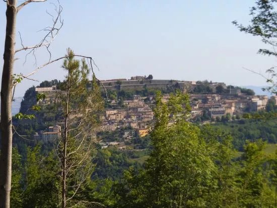 Chiesa di Maria SS.ma Assunta a Colle S. Nicola