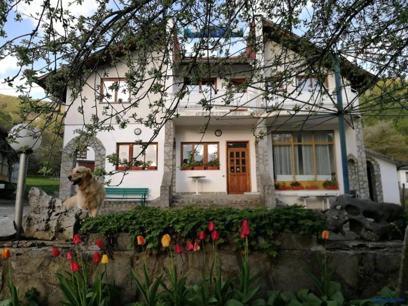 Samostoyatelni Stai V Kŭshta Za Gosti Balkan
