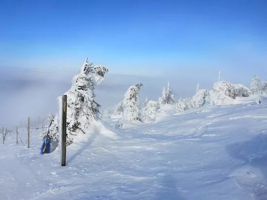 SKI ARENA SZRENICA