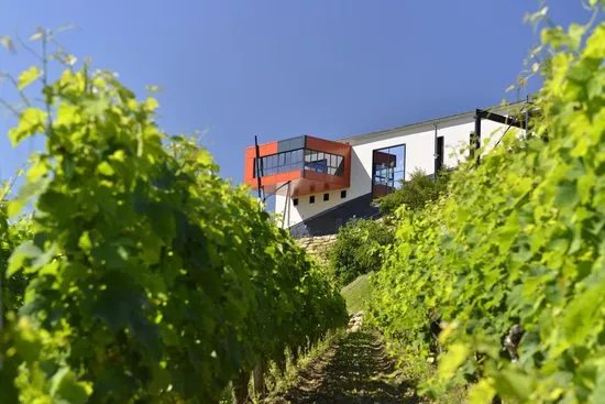 Chateau La Croizille