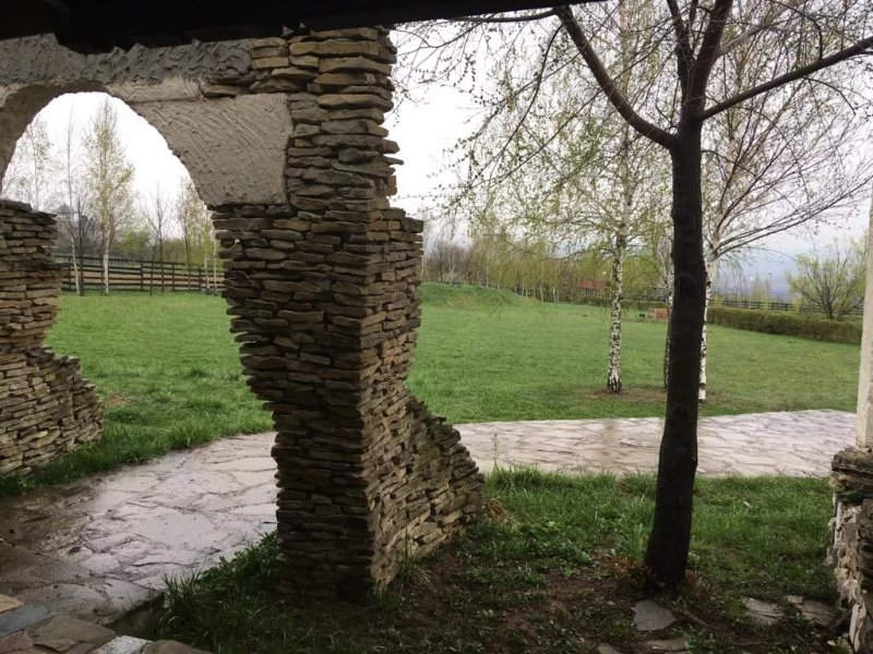 Cai de Vis