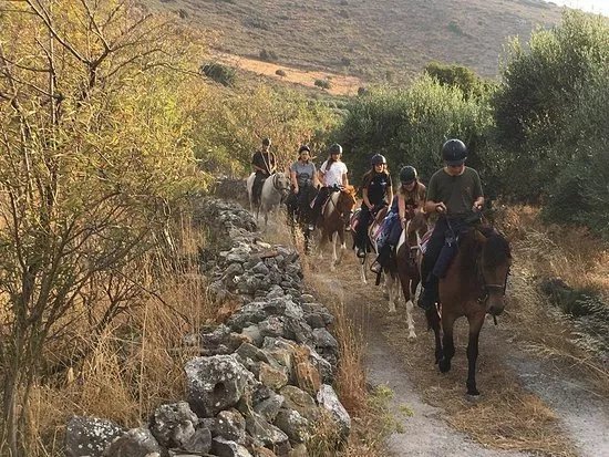 Fourni Horses