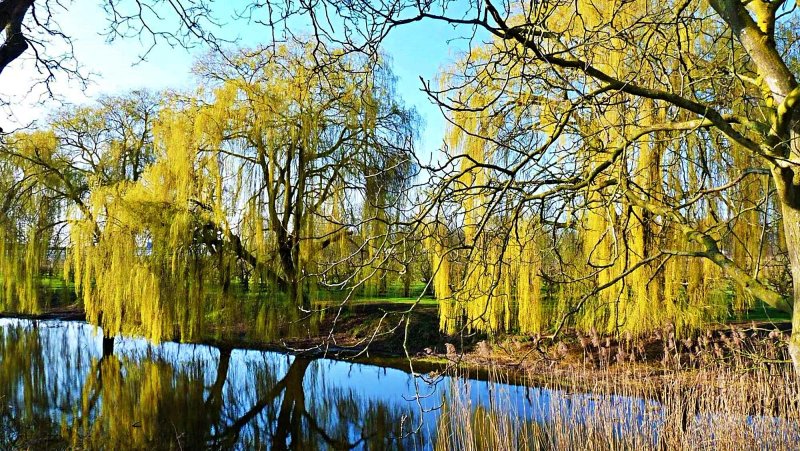 Heerlijkheid Marienwaerdt